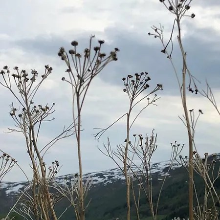 Camping & Marina * Sommaroy
